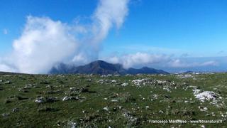 nte Scuderi-23-11-2014 09-49-35